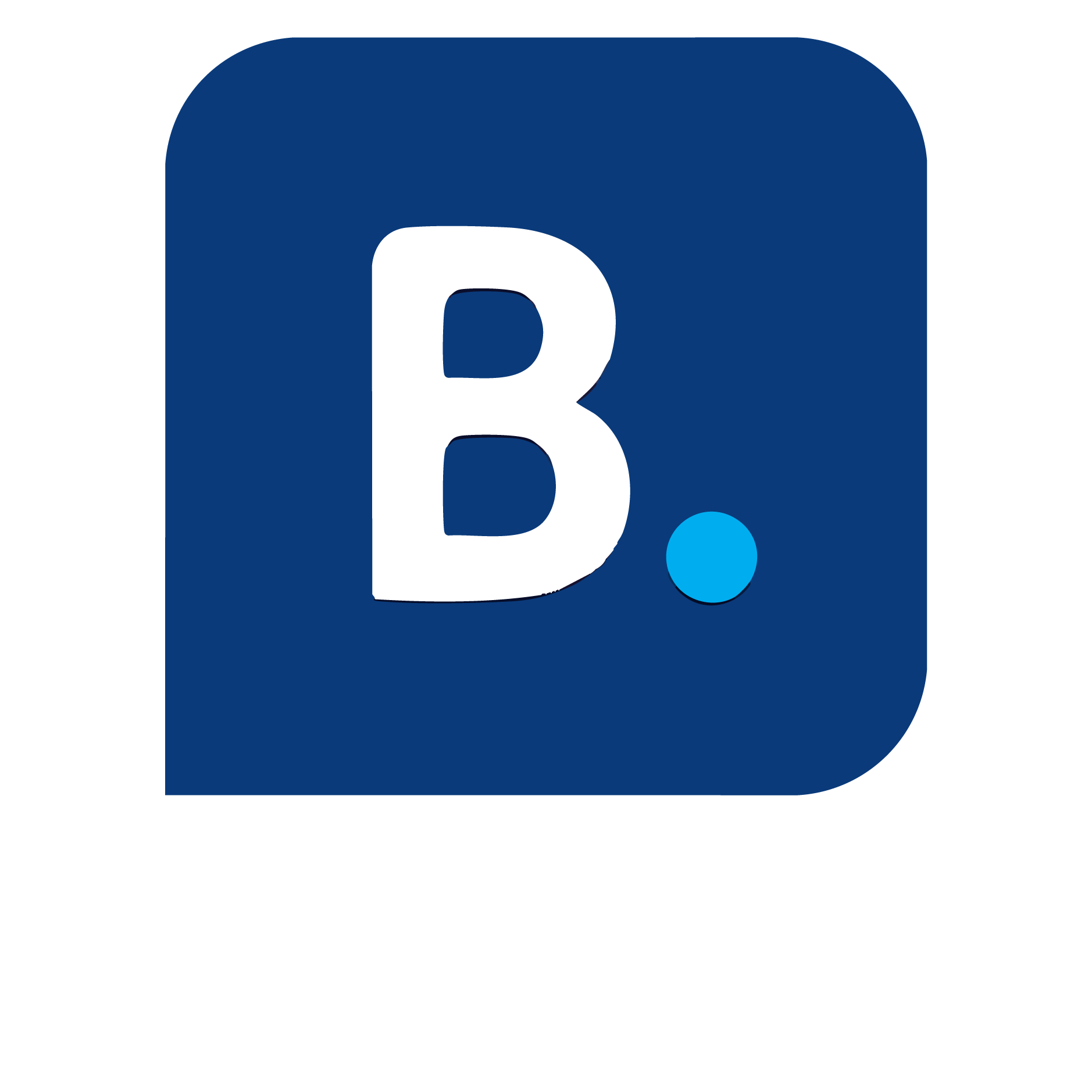 Booking Logo
